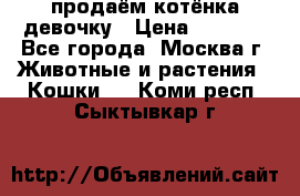 продаём котёнка девочку › Цена ­ 6 500 - Все города, Москва г. Животные и растения » Кошки   . Коми респ.,Сыктывкар г.